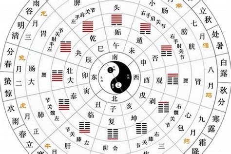 己五行|天干地支五行对照表